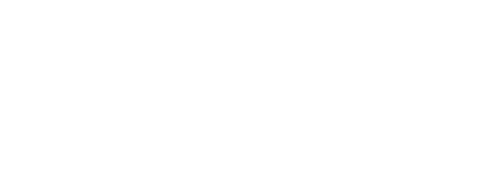 ASN Logo